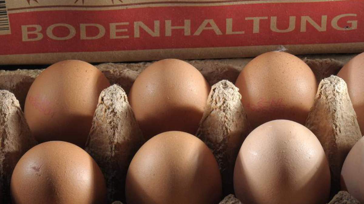 Frisch oder alt? Rohe Eier überprüfen