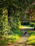 Im Reinhardswald gibt es viele Dörfern mit Fachwerkhäusern.