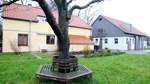 Wilhelm-Kaisen-Stiftung -