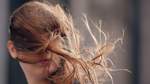 Herbstwind