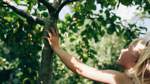 Borgfelder Farm und Freizi in Geldnot: Beirat appelliert an Senat