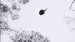 Flauschige Flieger