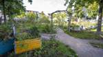In Bremen gibt es viele Möglichkeiten, auch ohne eigenen Garten Pflanzen anzubauen, wie hier auf dem Lucie-Flechtmann-Platz.